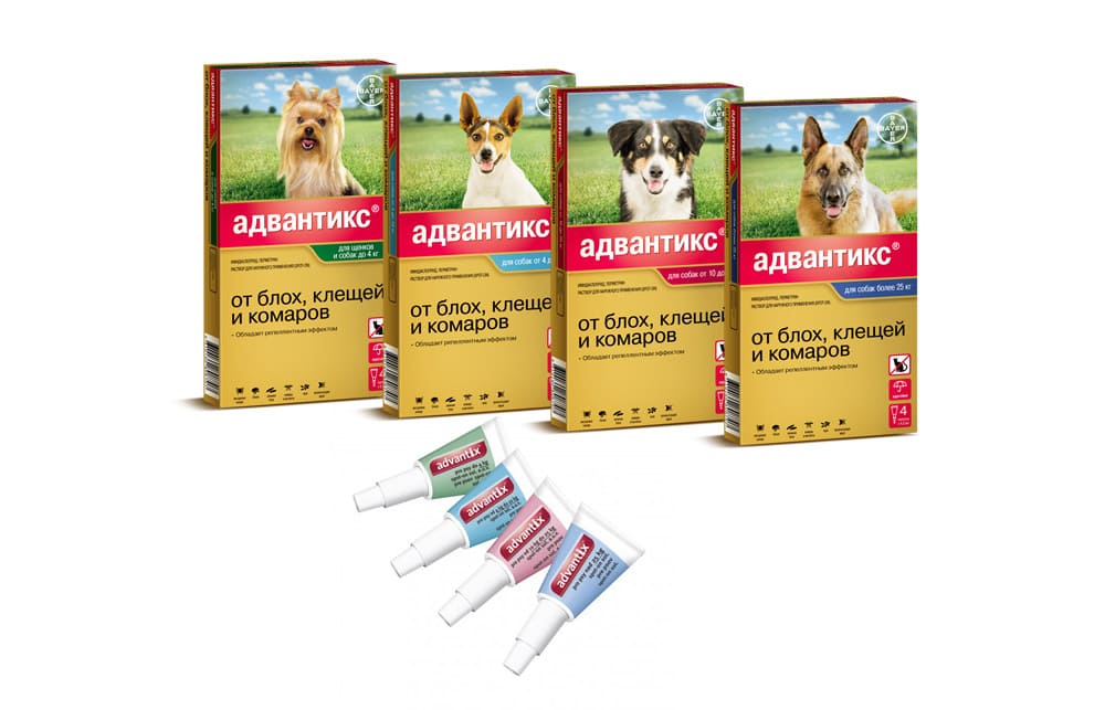 Адвантикс для собак