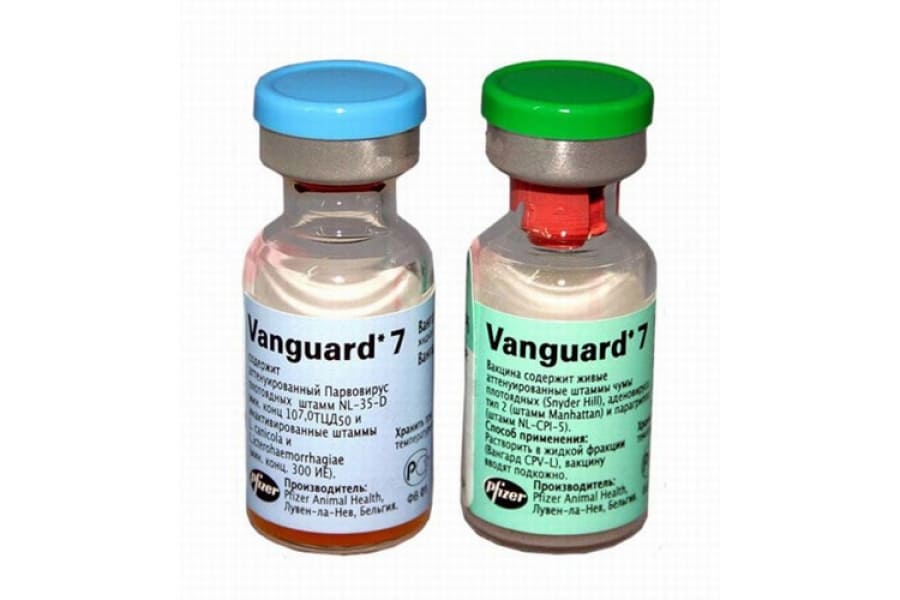 Вангард 5 и Вангард 7