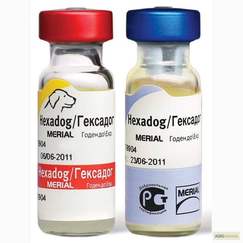 Гексадог