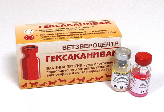 Гексаканивак